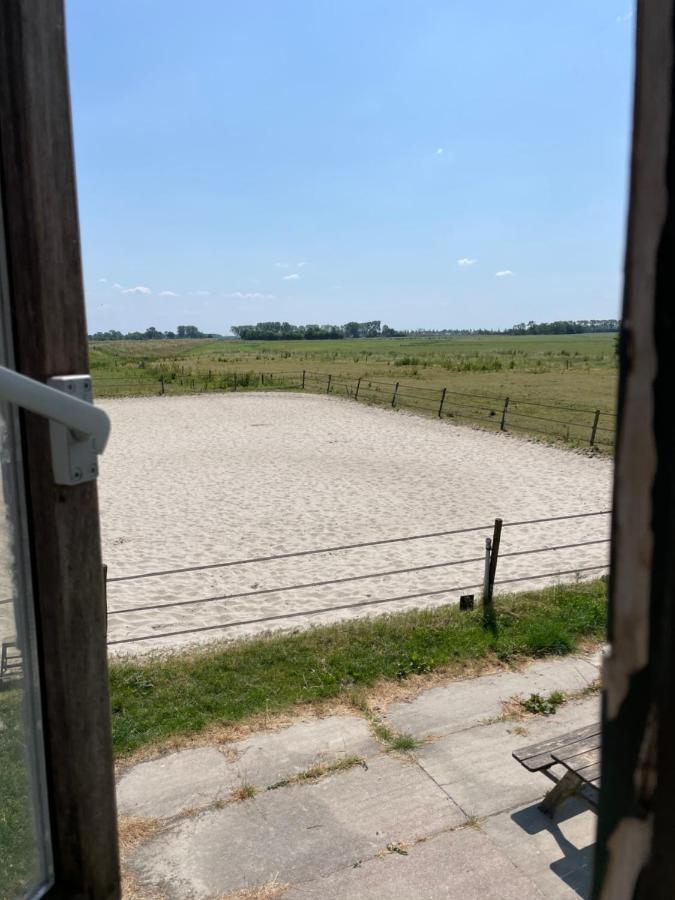 Bed and Breakfast The Horse Farm à Garnwerd Extérieur photo